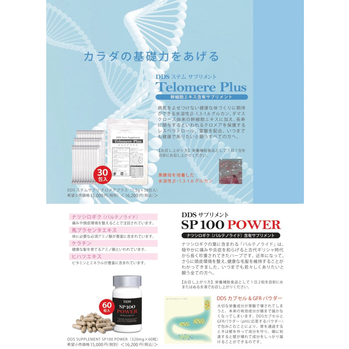 DDS SUPPLEMENT SP100 POWER